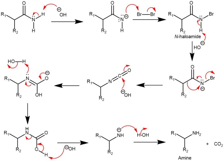 HOFF-3